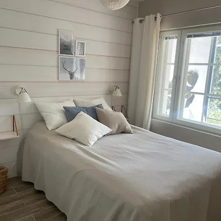 Levin Roelli 1, Ski-in Ski-out