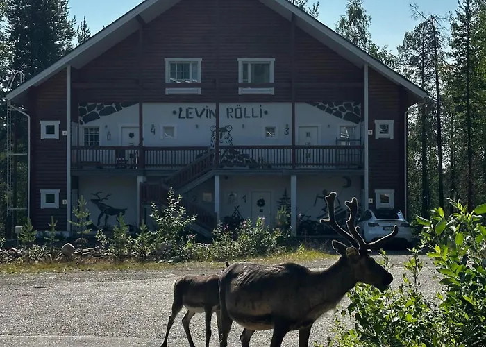 Levin Roelli 1, Ski-in Ski-out 아파트 *
